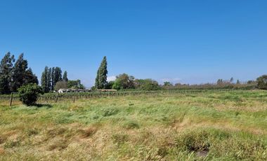 ISLA DE MAIPO/ZUÑIGA