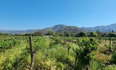 ISLA DE MAIPO/ZUÑIGA