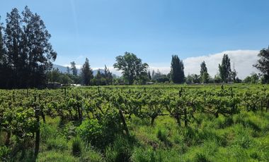 ISLA DE MAIPO/ZUÑIGA