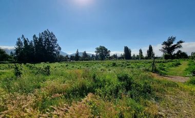 ISLA DE MAIPO/ZUÑIGA