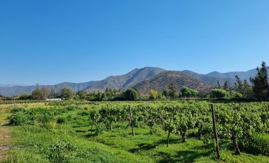 ISLA DE MAIPO/ZUÑIGA