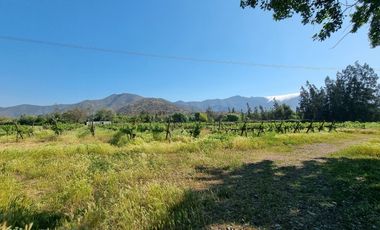 ISLA DE MAIPO/ZUÑIGA