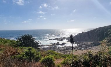 PUNTA DE TRALCA/CANTALAO