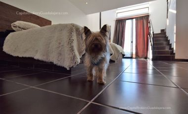 Cabaña de Lujo en Venta en Coto en Atemajac de Brizuela cerca de Tapalpa