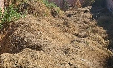 TERRENO EN VENTA EN TEQUISQUIAPAN