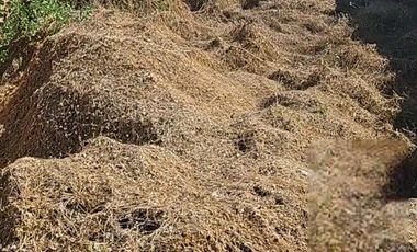 TERRENO EN VENTA EN TEQUISQUIAPAN