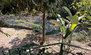 Casa en la Cañada,Comala