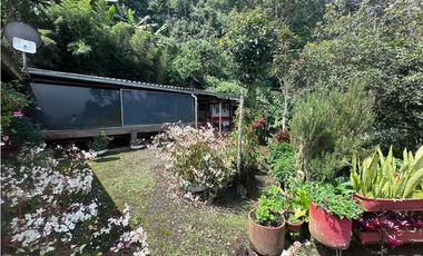 FINCA EN DAPA EN VENTA A PUERTA CERRADA SECTOR EL RODADERO KM 17 AL