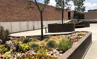 Renta Departamen con o sin Muebles Fray Junípero La Vista-Refugio Querétaro Qro.