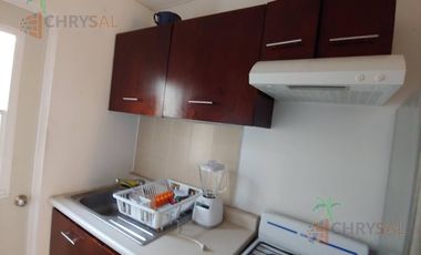 Renta de Departamento  amueblado en Fraccionamiento Punta Laguna