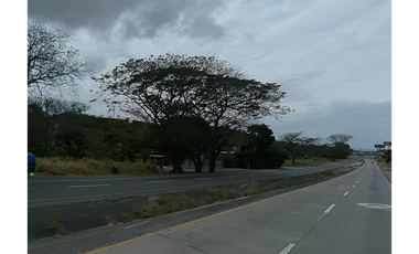 SE VENDE TERRENO EN EL CAÑO COCLE DE 22 HECTAREAS CERCA INTERAMERICANA