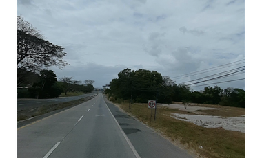 SE VENDE TERRENO EN EL CAÑO COCLE DE 22 HECTAREAS CERCA INTERAMERICANA