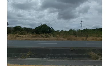 TERRENO 25 HECTAREAS / COCLE / EL CAÑO / CERCA DE INTERAMERICANA