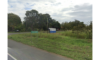 TERRENO 25 HECTAREAS / COCLE / EL CAÑO / CERCA DE INTERAMERICANA