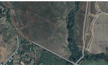 EL CAÑO / COCLE / TERRENO 21 HECTAREAS / CERCA DE INTERAMERICANA
