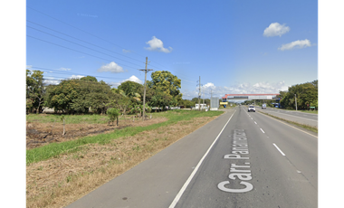 SE VENDE EN EL CAÑO COCLE TERRENO 21 HECTAREAS CERCA DE INTERAMERICANA