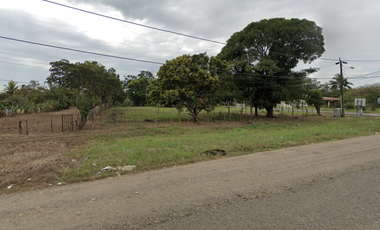 COCLE / NATA / EL ROBLAR / TERRENO 1.6 HECTAREA / SOBRE INTERAMERICANA