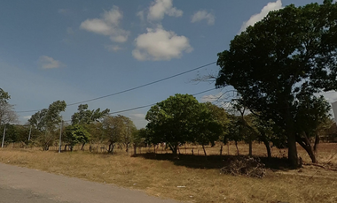 COCLE / NATA / EL ROBLAR / TERRENO 1.6 HECTAREA / SOBRE INTERAMERICANA