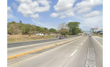 COCLE / NATA / EL ROBLAR / TERRENO 1.6 HECTAREA / SOBRE INTERAMERICANA