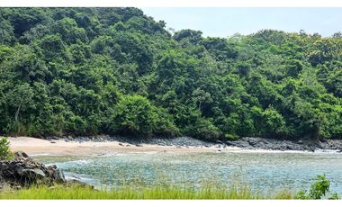 SE VENDE EN VERACRUZ - GRAN TERRENO FRENTE AL MAR - BIQUE