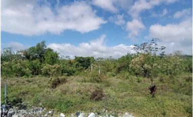 CAPIRA / 6 HECTAREAS / VIA INTERAMERICANA / CON PROYECTO APROBADO