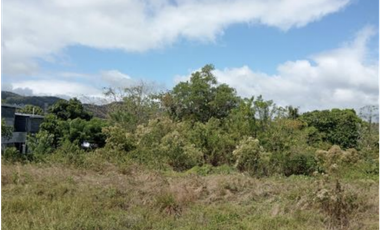 CAPIRA / 6 HECTAREAS / VIA INTERAMERICANA / CON PROYECTO APROBADO