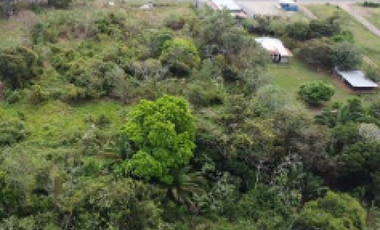 CAPIRA / 6 HECTAREAS / VIA INTERAMERICANA / CON PROYECTO APROBADO