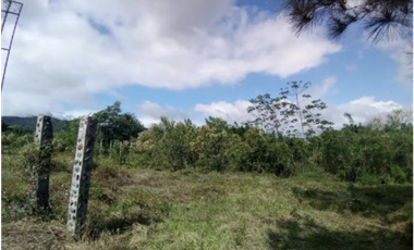 SE VENDE 6 HECTAREAS CAPIRA CON PROYECTO APROBADO VIA INTERAMERICANA