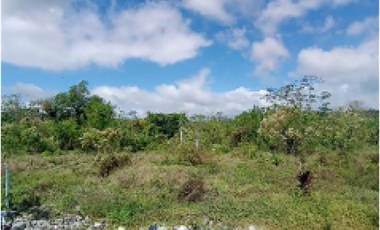 SE VENDE 6 HECTAREAS CAPIRA CON PROYECTO APROBADO VIA INTERAMERICANA