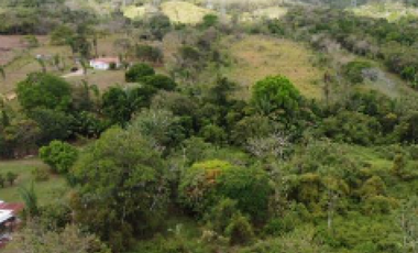 SE VENDE 6 HECTAREAS CAPIRA CON PROYECTO APROBADO VIA INTERAMERICANA