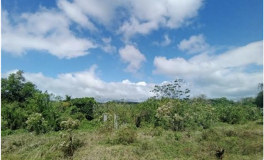 SE VENDE 6 HECTAREAS CAPIRA CON PROYECTO APROBADO VIA INTERAMERICANA