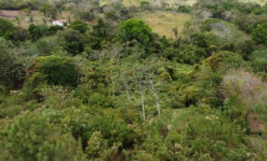 SE VENDE 6 HECTAREAS CAPIRA CON PROYECTO APROBADO VIA INTERAMERICANA