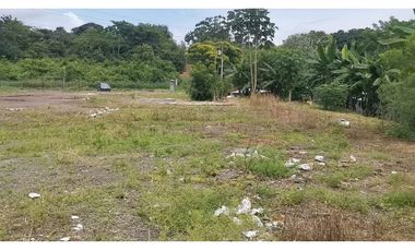 SE VENDE TERRENO COMERCIAL EN CHORRERA 7874M SOBRE VIA INTERAMERICANA