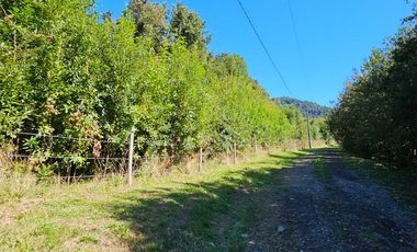 Parcela en venta  en PUERTO VARAS