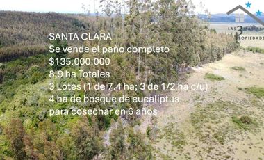 Parcela en venta en ARAUCO