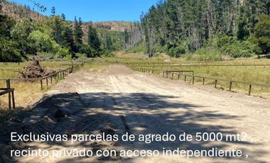 Parcela en venta  en ARAUCO