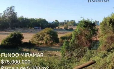 Parcela en venta en ARAUCO