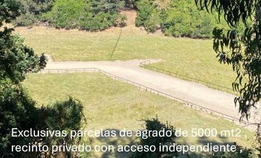 Parcela en venta  en ARAUCO