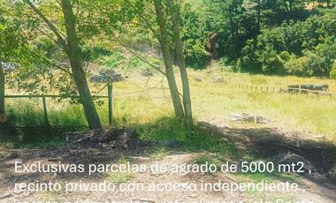 Parcela en venta  en ARAUCO