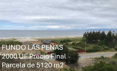 Parcela en venta en ARAUCO