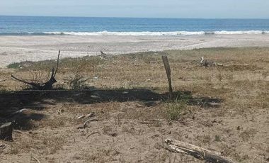 Parcela en venta en ARAUCO