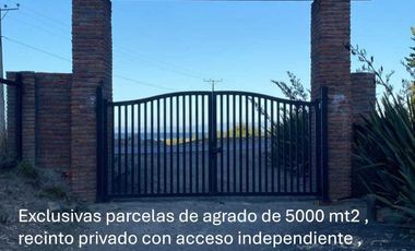 Parcela en venta  en ARAUCO