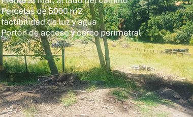 Parcela en venta en ARAUCO