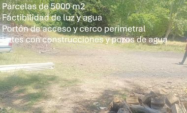 Parcela en venta en ARAUCO