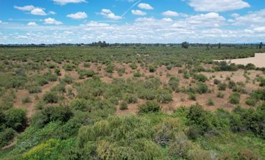 Parcela en venta en BULNES