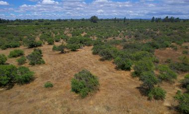 Parcela en venta en BULNES
