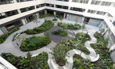 Renta Departamentos Paseo de La Reforma Sin Aval Con Alberca CDMX