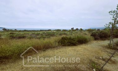 Terreno en venta ubicado en Morrillos