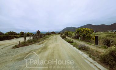 Terreno en venta ubicado en Morrillos