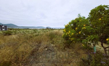 Terreno en venta ubicado en Morrillos